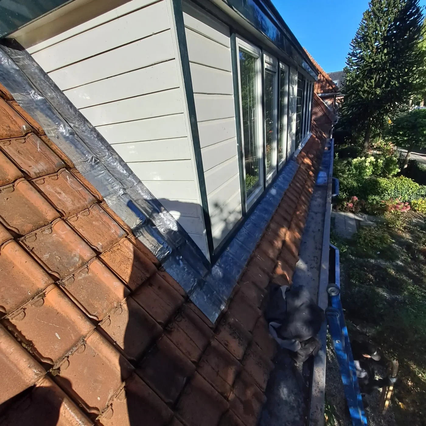 Dakkapel reparatie Drenthe