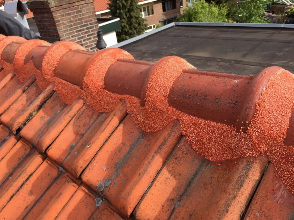 Nokvorsten renovatie Drenthe