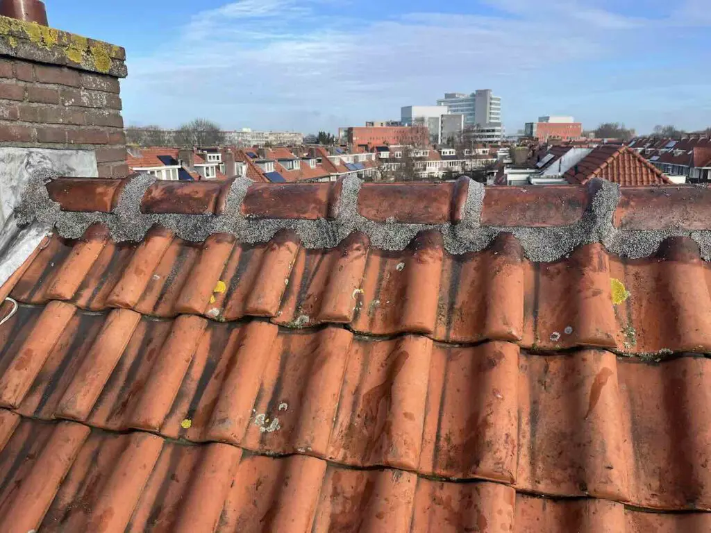 Nokvorsten reparatie Drenthe